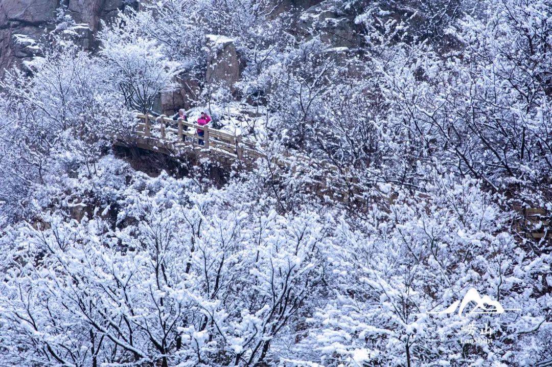 十二月初雪你想看的最美崂山雪景都在这里啦