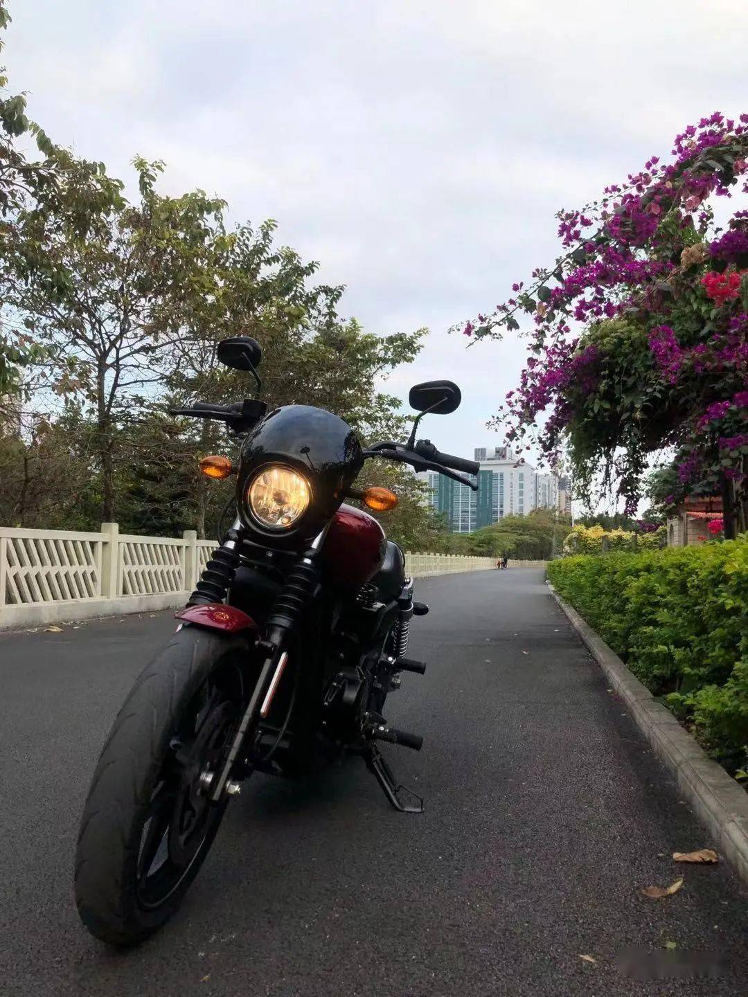 哈雷street750cc销售