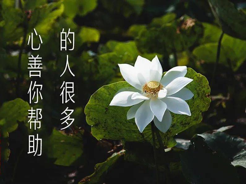与别人交谈时,少说自己的这三件事,福气会越来越多
