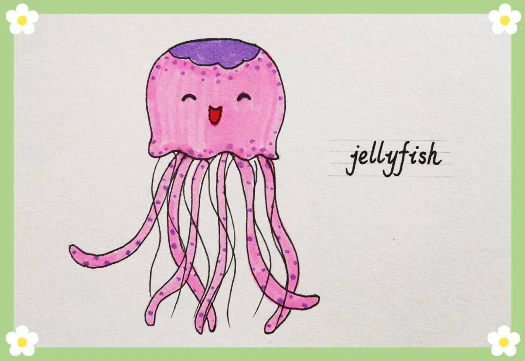 英语萌萌画 | jellyfish 水母
