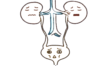 为什么会尿路感染症状 b6dc8afef1db4b32ab03fb0d75f55d7c.png