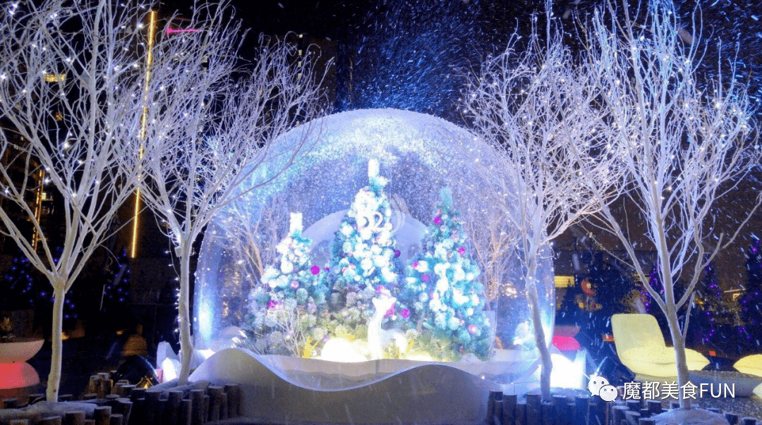 飘满了雪花