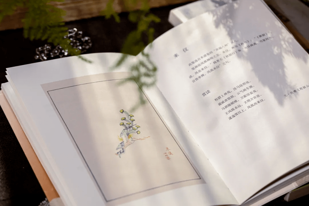 曲谱盛放的白百何_白百何性感(2)
