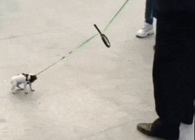 各种花式荡秋千