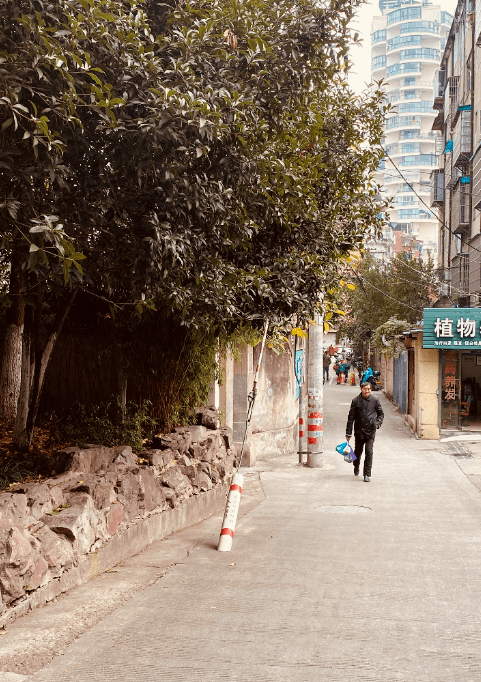 丽水市多少人口_丽水市地图(3)