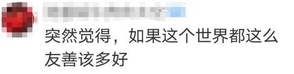 中国|因为嫦五，这个加拿大人引起了中国网友的注意……