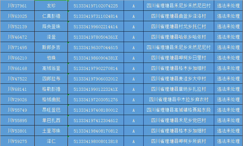 派出所重点人口统计年报表_统计报表