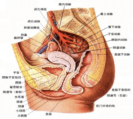 501266be9aac4d2ea77b7c52ae7ba85c.png