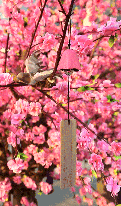 400_678 竖版 竖屏