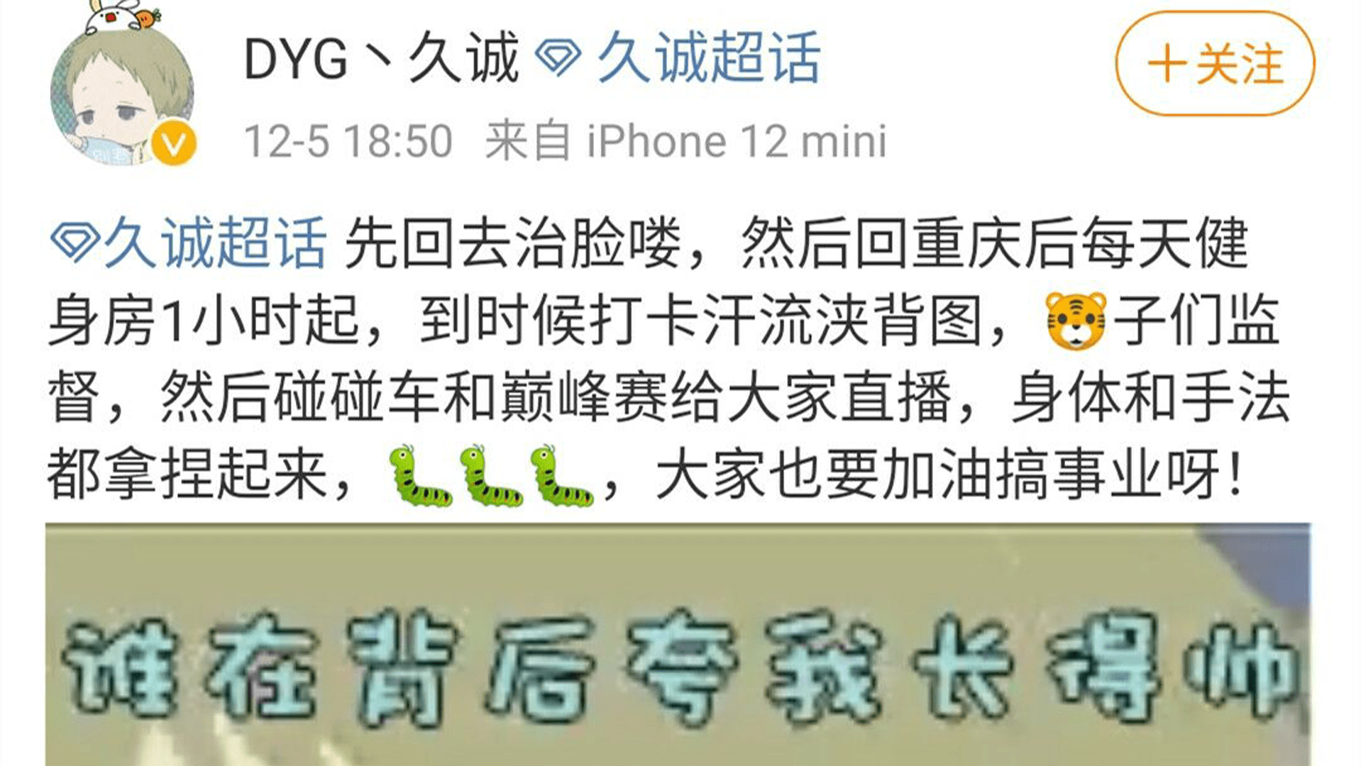 什么是蓝领野 3525463ba05b47749338187856d59179.png