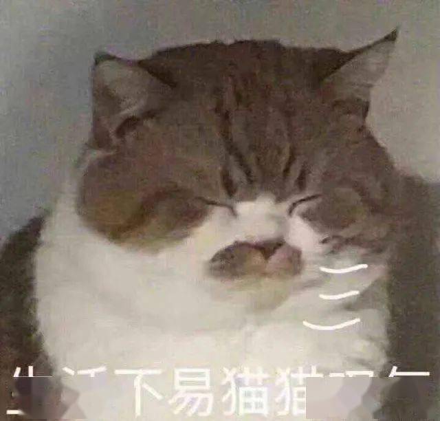 54d5468864ca4366a618e8b33bebc9d5.jpeg