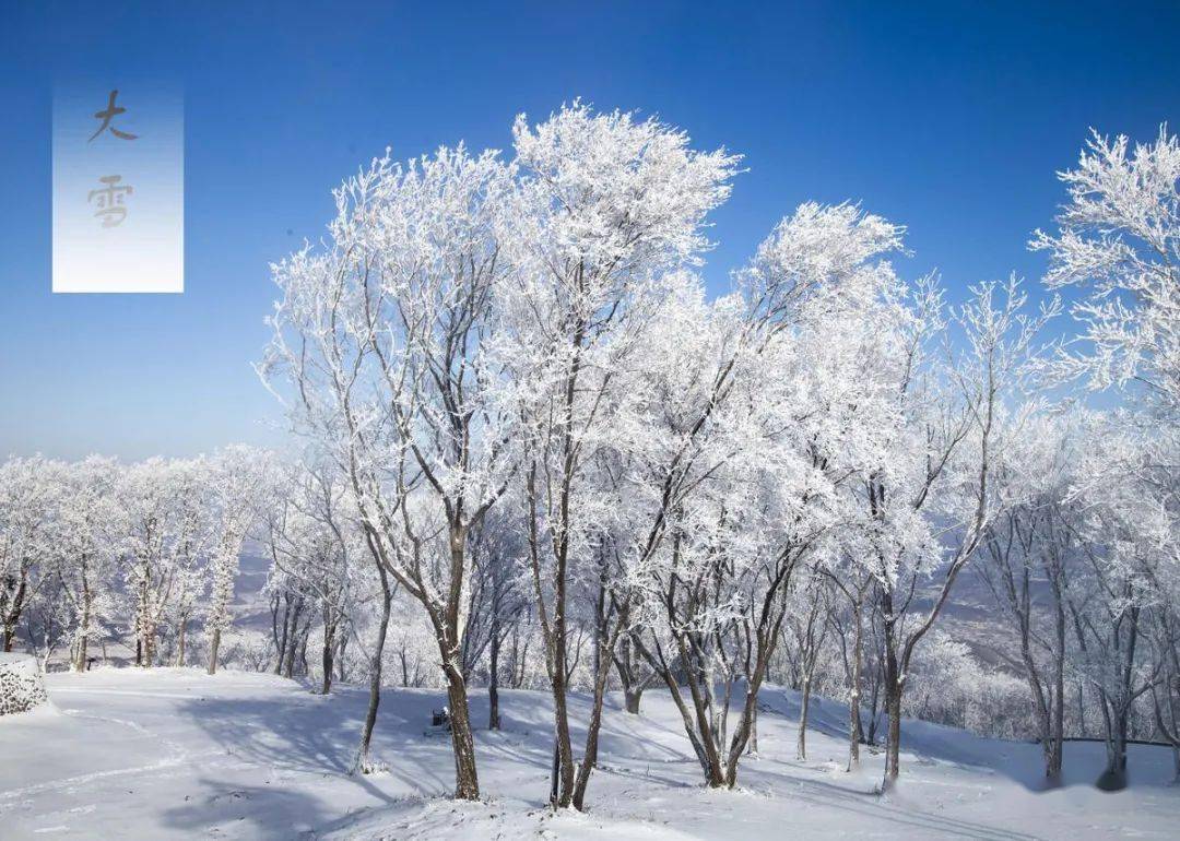 大雪来临,凛冬已至_节气