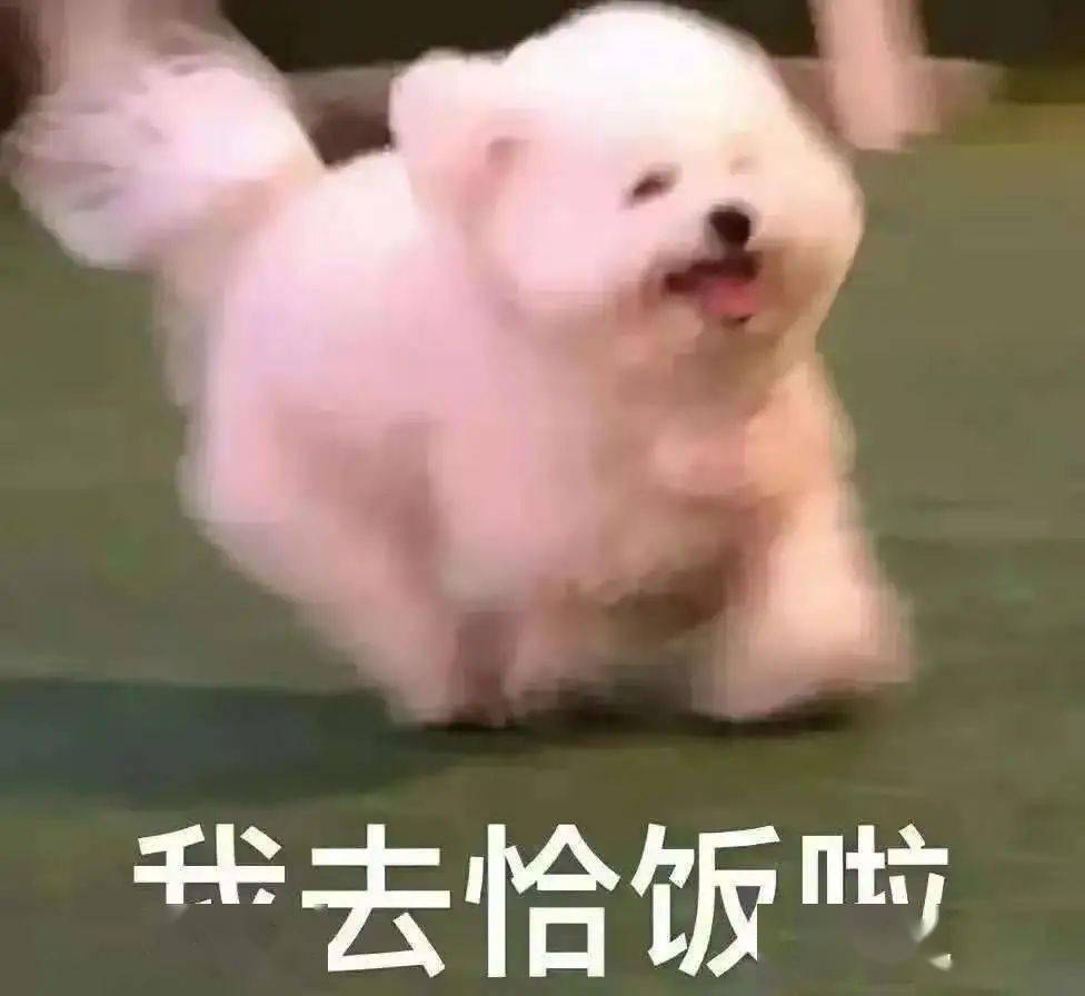好吃的东西要吃进肚子里 e0eef0e3b66545bb9cb32492ec80b14b.jpeg