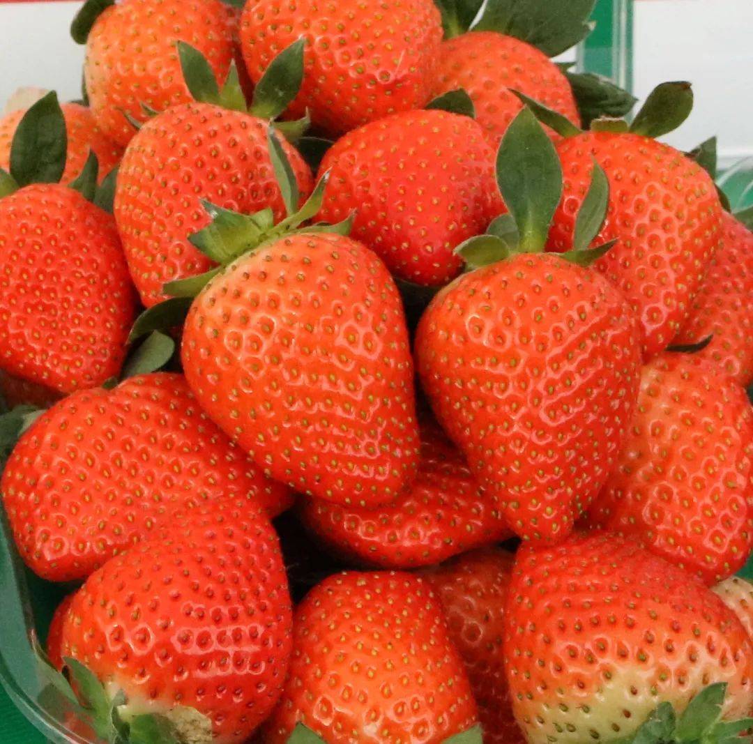 各种高颜值的草莓 - 知乎
