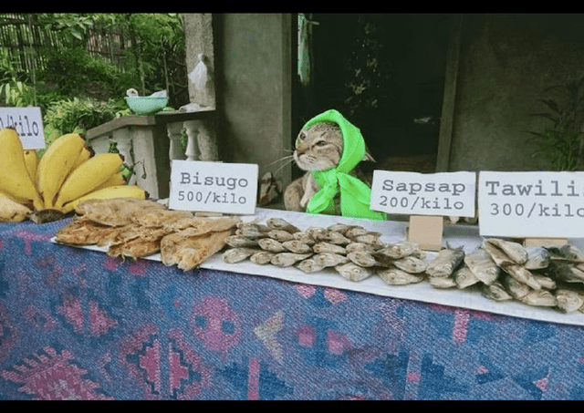 1388e7c499b84af5b0cf8ac76423bea8.png