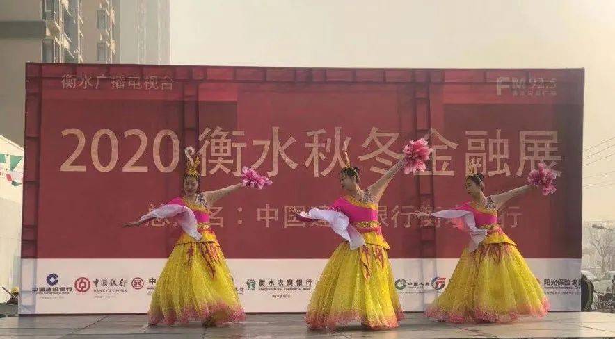 衡水经济总量2020年_衡水2020年新规划图