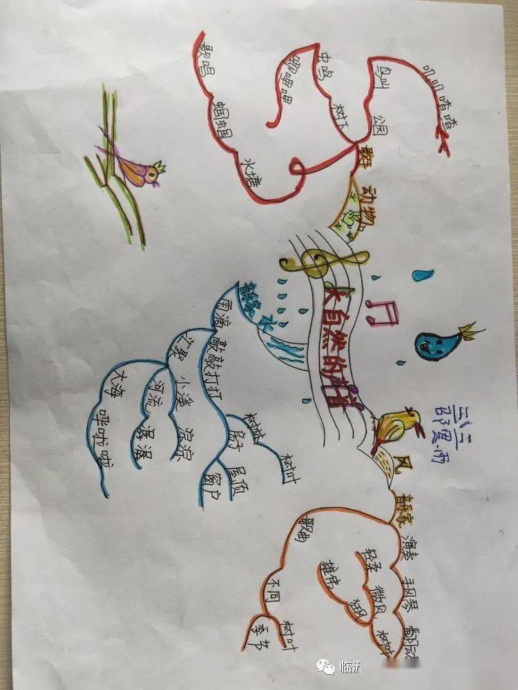 思维导图促阅读——八湖镇中心小学三年级制作思维导图活动纪实