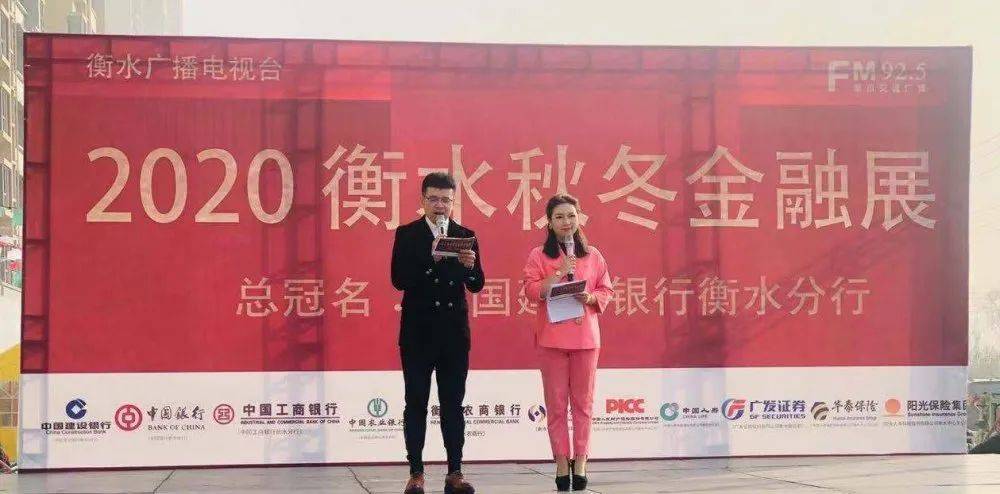 衡水经济总量2020年_衡水2020年新规划图