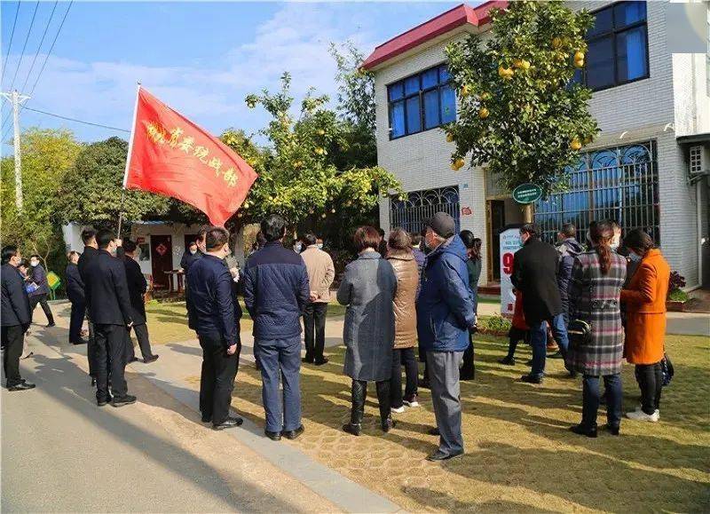 梦里花园花木专业合作联合社,十里苗木长廊,新龙村,获评"2019年全国