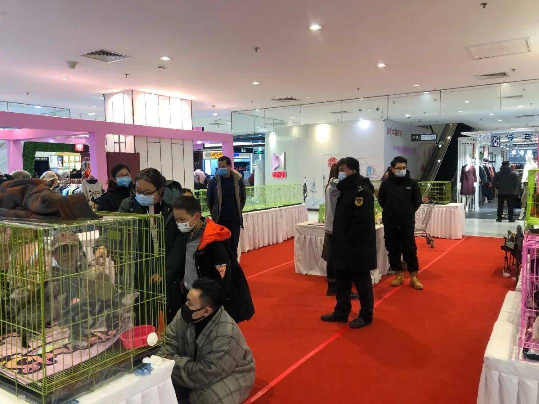 人口展动_我爱你动图骂人口型(3)