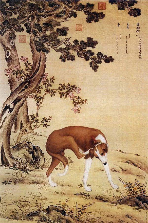郎世寧 犬 郎世宁笔下的乾隆10大爱犬，现“每只”价值千万！_茹黄豹