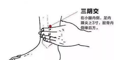e97a5db9f756452bbd384e9278503080.jpeg