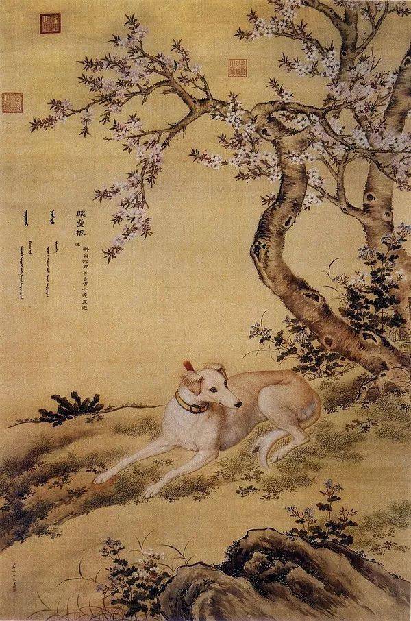 郎世宁笔下的乾隆10大爱犬，现“每只”价值千万！_搜狐网