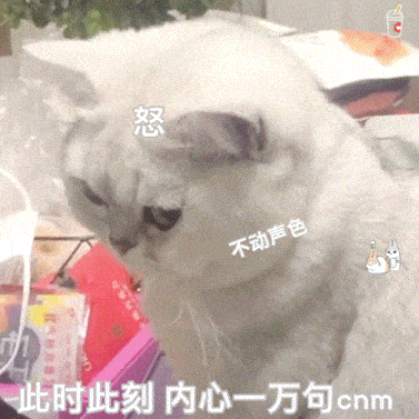 眼睛随时随地盯着对手,进行死亡凝视;保持气势的就是眼神杀,打架时