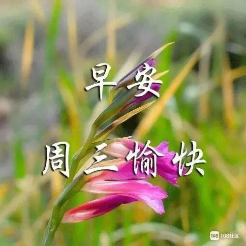 成语什么割舍_成语故事图片(2)