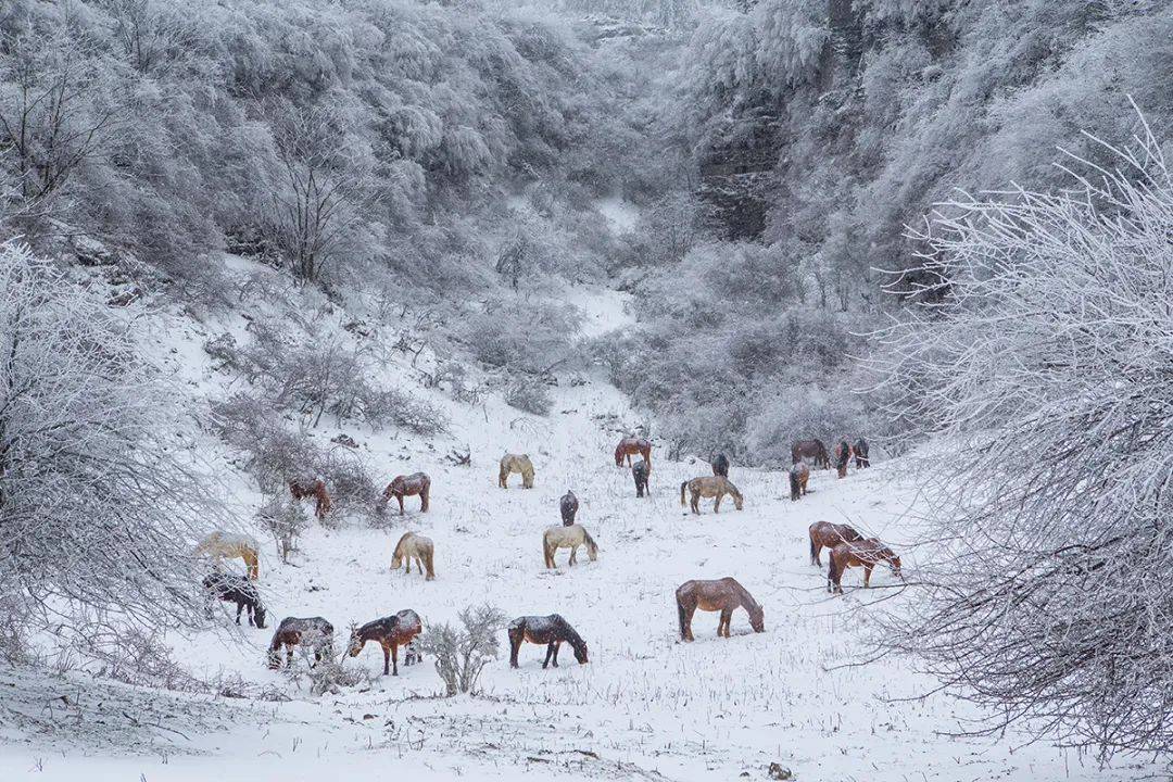 重庆仙女山机场本月下旬首飞,去看雪更方便啦!