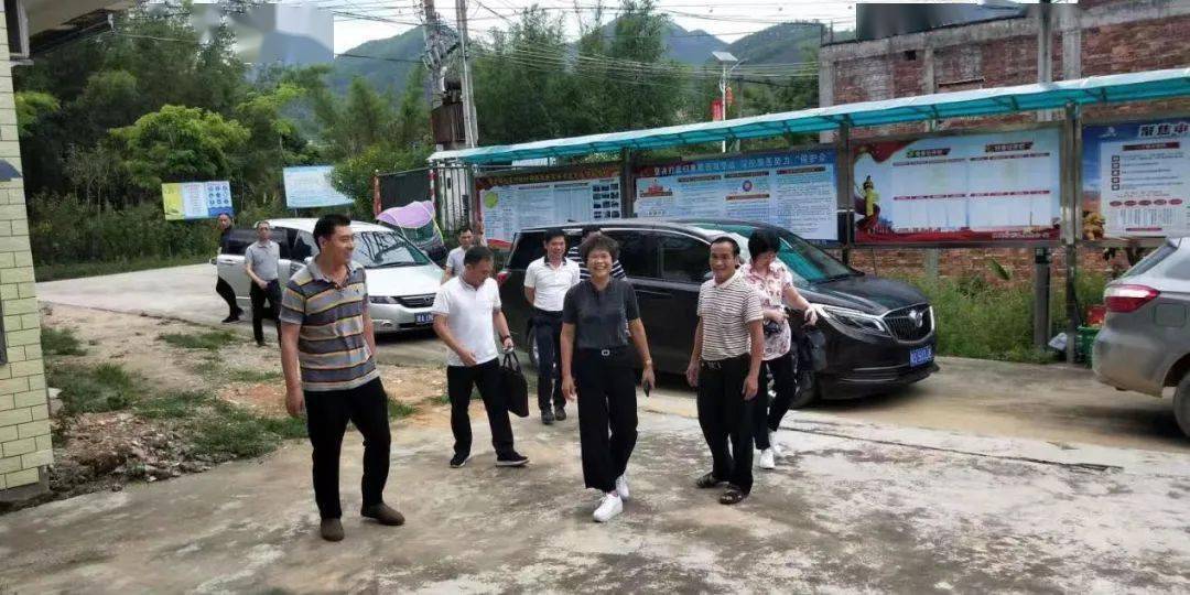 新华街杨心妹书记来村调研