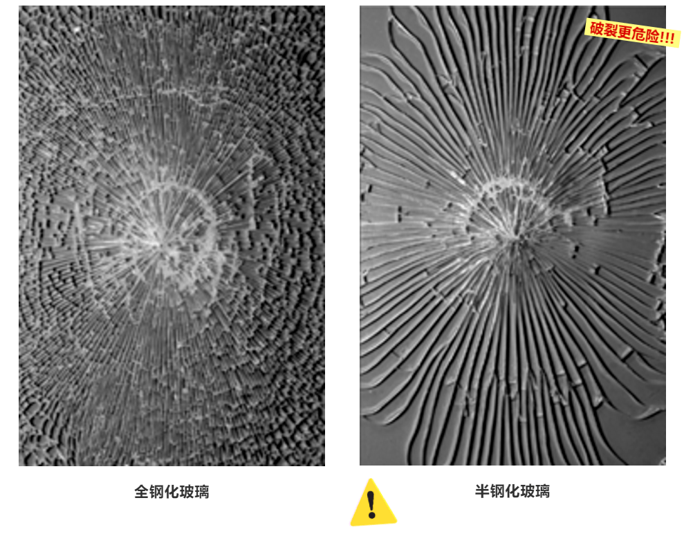 优势|揭秘Tedlar 透明背板，传奇背后的奥秘究竟是……