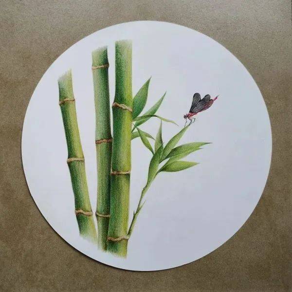 教程| 彩铅画一篇积极向上的竹子