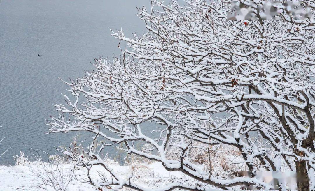 瑞雪兆丰年乡村覆雪美景让人如痴如醉