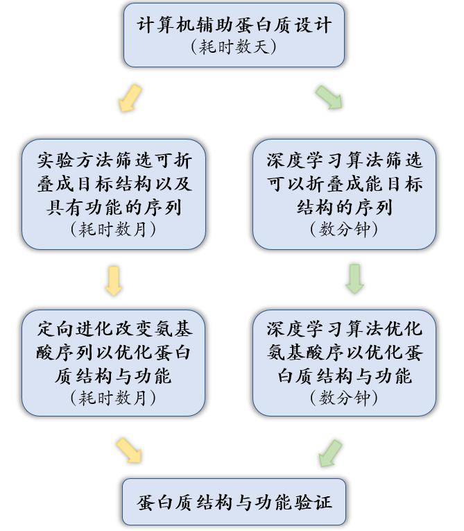 预测|会预测蛋白结构的AI，还要教我们设计新蛋白