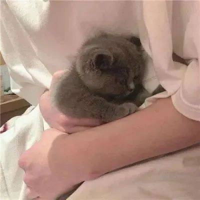 怎么找对象的情头 07dfe35b72c24438910fcc4487475cc9.jpeg