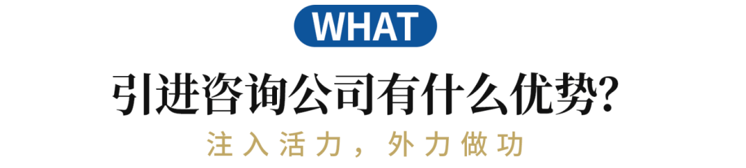 优秀的企业为什么需要咨询公司？