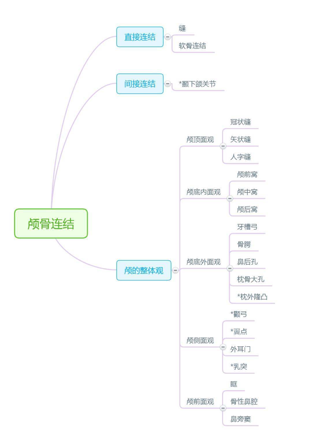 解剖学思维导图完整版【人手一份】