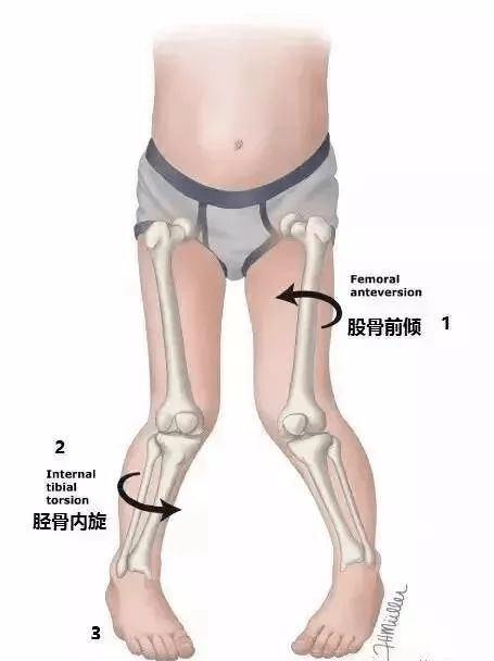 bced20c2e9a14fa6a9e746e375d5beb3.png