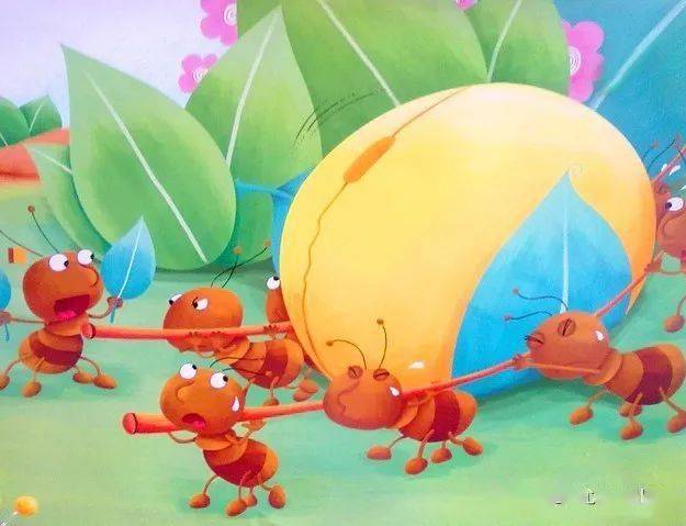 【班级风采】中六班科学活动—小蚂蚁,大趣味