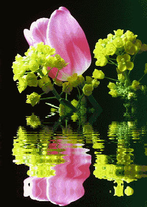 300_422 竖版 竖屏