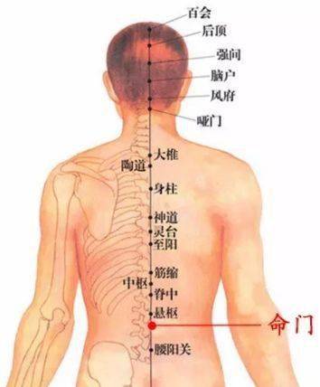 美丽田园做背没效果那是因为你没坚持