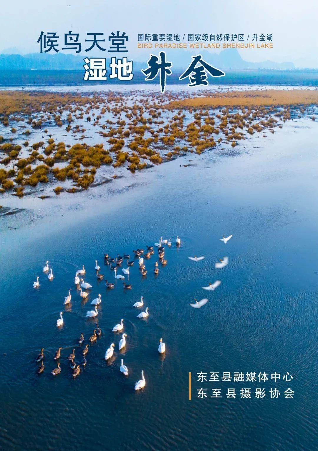 金湖银鱼_三明特产金湖银鱼专题-淘金地农业网