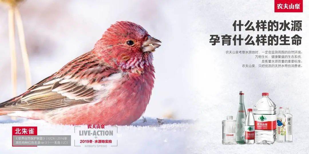 农夫山泉,喝到长白山的春夏秋冬