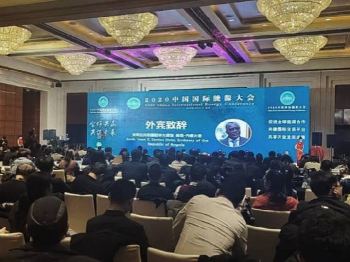 2020世界各国经济总量占比_宝马各国销量占比