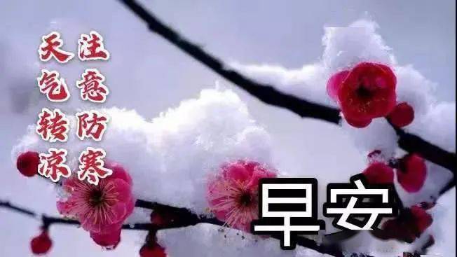 2020冬季腊梅鲜花早安图片带字带祝福语,暖心的冬天早上好祝福语图片