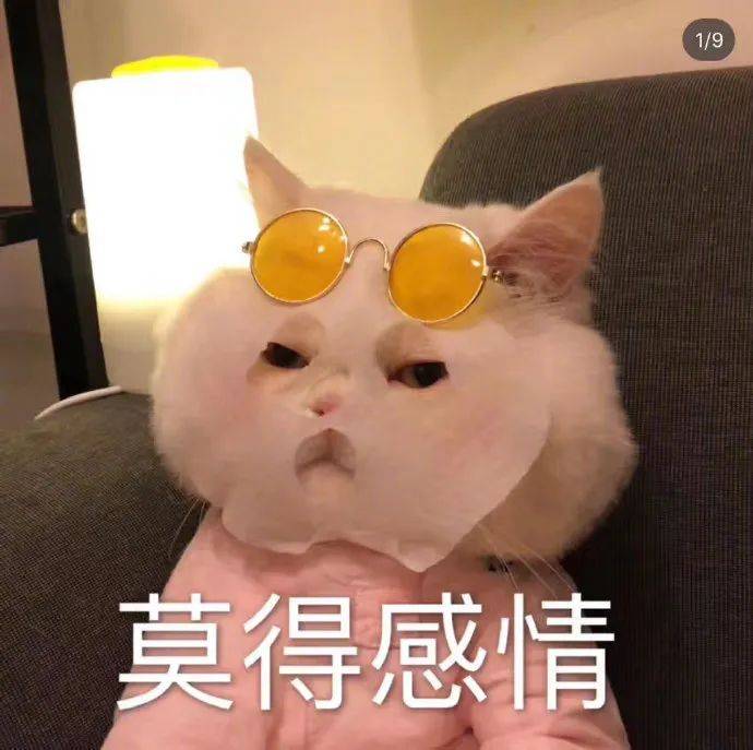 当场气晕
