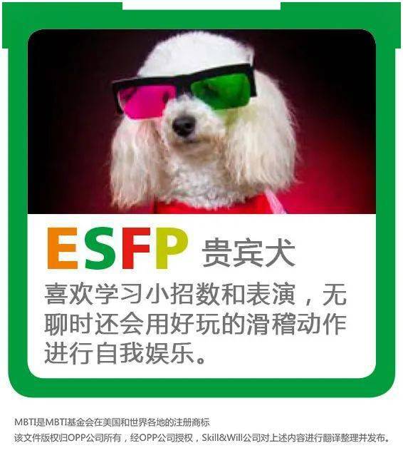 怎么看小狗的mbti 6ec397c7c5ec4a84bb40e356988946d7.jpeg