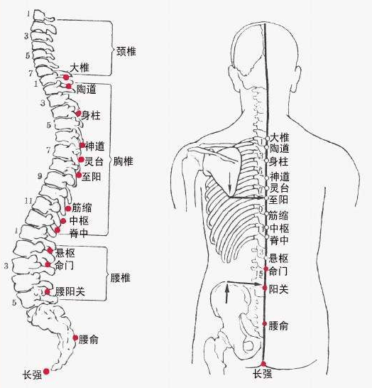 好消息:冬季手脚冰凉,颈腰椎老毛病的人,福音来了!