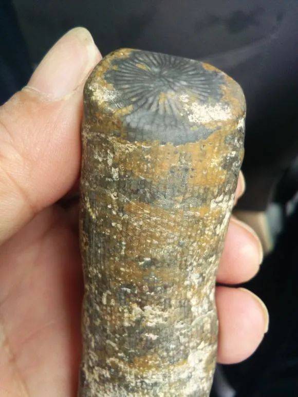 变化|震惊，一年竟有424天！